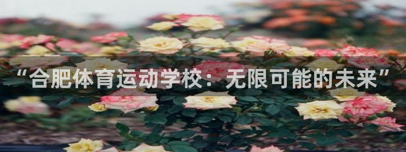 77体育官网