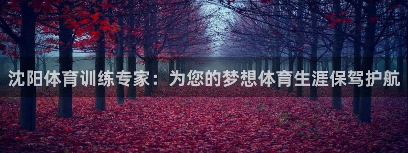 77体育app下载官网
