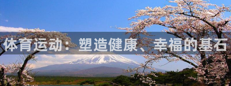 77体育官网