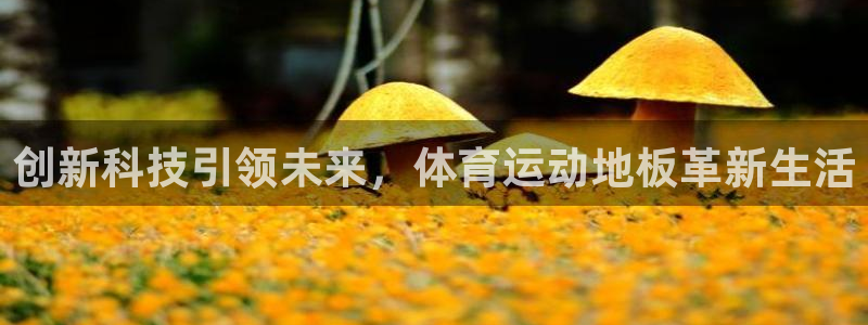 77体育