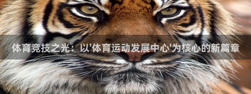 77体育app下载官网