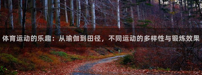 77体育