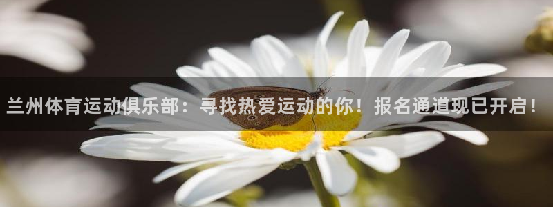 77体育官网